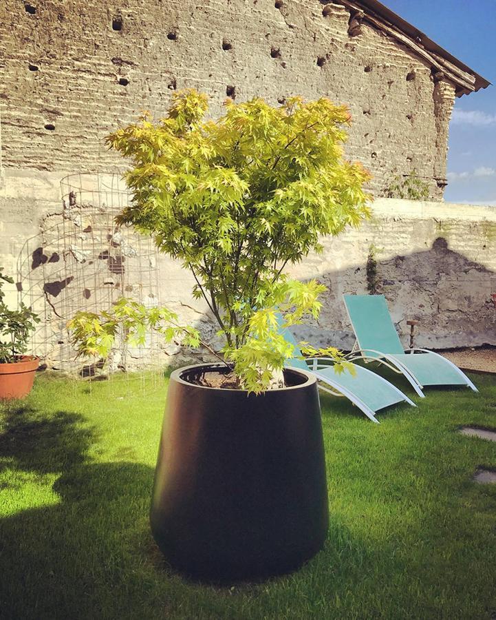 Bed and Breakfast Chemin des Ormeaux Ennezat Exterior foto